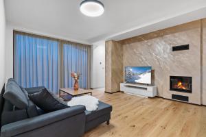 TV a/nebo společenská místnost v ubytování Apartmány Čistá