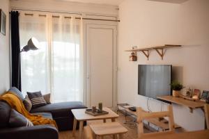 ein Wohnzimmer mit einem Sofa und einem TV in der Unterkunft Chez Moltess in Seignosse