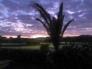 eine Palme vor einem Sonnenuntergang in der Unterkunft Chez Moltess in Seignosse