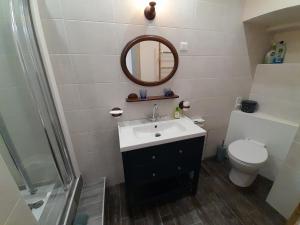 a bathroom with a sink and a toilet and a mirror at Chambres d'hôtes L'Oustal in Oloron-Sainte-Marie