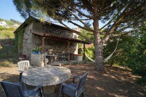 una casa de piedra con mesa, sillas y un árbol en Lemon Tree Cottage at Terrus Winery, en Barrô