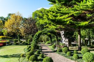 a garden with a tree and a path at Castelo Saint Andrews in Gramado