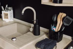 um lavatório de cozinha com torneira e um suporte com utensílios em Studio Centrum em Chelm