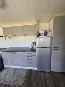 eine Küche mit einem Kühlschrank und einer Mikrowelle in der Unterkunft Ryysyranta 