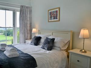 a bedroom with a bed with pillows and a window at Tyllwyd Farmhouse in Capel Bangor