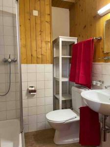 a bathroom with a toilet and a sink and red towels at Charmant 2,5 pièces avec jardin à 2 pas du lac in Champex