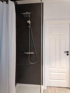 a shower with a shower head next to a door at Gallery Room 01 in Bielefeld