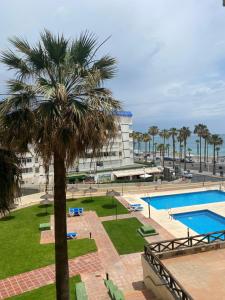 palma siedząca obok basenu w obiekcie BENALMADENA ALOHA PLAYA BEACH LOFT w mieście Benalmádena