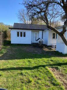 une maison blanche avec un arbre dans la cour dans l'établissement Casa Blanca, à Strandbaden