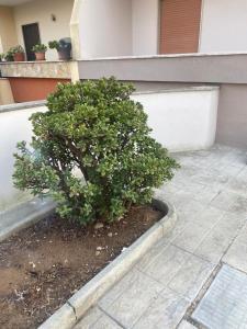 Fotografie z fotogalerie ubytování Giardino Massari v destinaci Lecce + 10 fotografií
