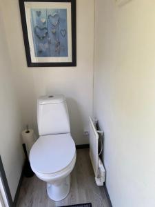 een badkamer met een toilet en een schilderij aan de muur bij Stuga på Öland in Algutsrum