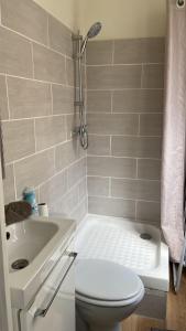 ein Bad mit einem WC, einem Waschbecken und einer Dusche in der Unterkunft Comfy Parisian studio! in Ivry-sur-Seine