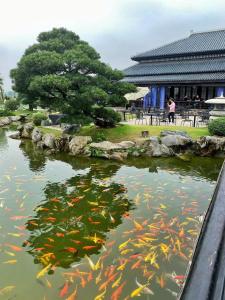 um lago cheio de peixes koi num jardim em Lu Luxury Homestay et Apartment - Vinhomes Smart City Hanoi em Hanói