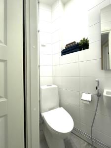 赫爾辛基的住宿－Renovated studio Töölö，白色的浴室设有卫生间和水槽。