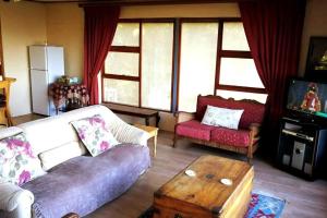 sala de estar con sofá y TV en Carol Close Upstairs - A spacious apartment with a view, en Durbanville