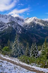 a mountain range with trees and snow on it at Malinovy Sen II in Habovka