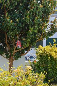 Kanaloa Caparica Surf Lodge في تشارنكه: منزل طيور احمر متدلى من شجرة