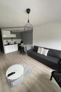 a living room with a couch and a table at City Center Apartment in Katowice