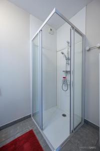a glass shower in a bathroom with a red rug at Le Saint Exupéry - T3 Centre Ville Avec Balcon + Parking Gratuit in Toulouse