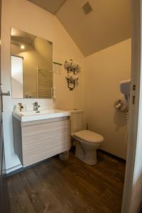 La salle de bains est pourvue d'un lavabo, de toilettes et d'un miroir. dans l'établissement Contact hôtel Les Ailes, à Challes-les-Eaux