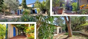 un collage di foto di una casa con piante di Au bon vivre a Vivès