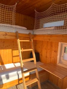 a bunk bed and a ladder in a cabin at Tiny House Lodge Dresden in Dresden