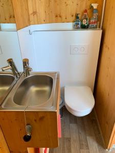 a small bathroom with a sink and a toilet at Tiny House Lodge Dresden in Dresden