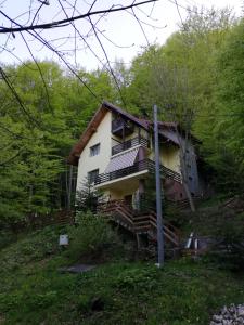 Ein Haus auf einem Hügel im Wald in der Unterkunft Casa Din Padure in Sinaia