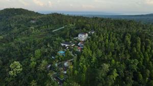 an aerial view of a house in the middle of a forest at Ling & Louie's Mountain in Mayong