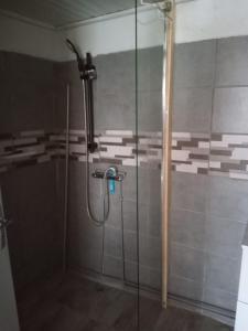 een douche met een glazen deur in de badkamer bij Le Village in Selonnet