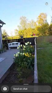 un giardino con fiori gialli e bianchi in un cortile di Hyggelig ferielejlighed i Harresø a Give