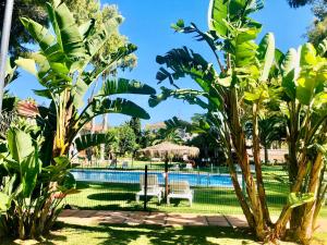 Bazén v ubytovaní HORTENSIA Suite Puerto Banus alebo v jeho blízkosti
