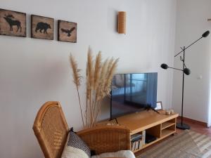 TV a/nebo společenská místnost v ubytování Amazing marina park