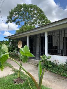 En hage utenfor Nomada Hostel