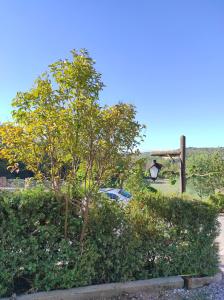 Príroda v okolí of the country house