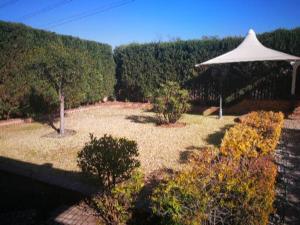 a garden with an umbrella and some bushes and trees at Sleep Haven in Johannesburg