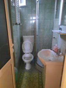 La salle de bains est pourvue de toilettes et d'un lavabo. dans l'établissement Casa Crivimex, à Azuga