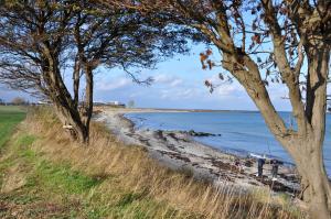 a beach with trees next to the water at Küstenblick Marienleuchte in Fehmarn