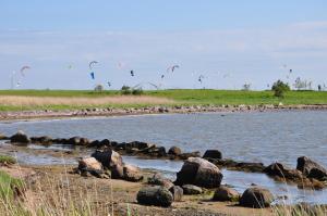a group of kites flying over a body of water at Westerbergen Haus "leucht blick" in Westfehmarn
