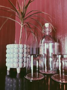 a table with glasses and a bottle and a plant at Marianna Stoltz House in Spokane