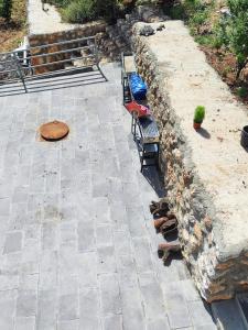 Galeriebild der Unterkunft Chalets in the middle of Ajloun forests شاليه و مزرعة في وسط غابات عجلون in Adschlun