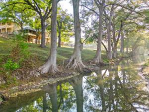 een groep bomen met hun reflecties in het water bij The Meyer Hotel in Comfort