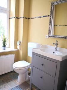 a bathroom with a toilet and a sink and a mirror at Anna in Anklam +21 photos