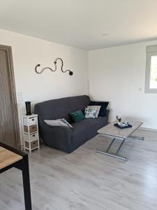 uma sala de estar com um sofá e uma mesa de centro em Chalet Miquéou Gers em Marseillan
