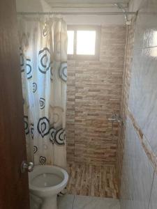 ein Bad mit einem WC und einer Dusche mit einem Fenster in der Unterkunft Depto a 6 cuadras de la playa y 5 min. casco histórico in Colonia del Sacramento