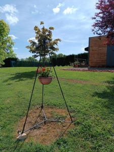 a small tree on a stand in the grass at Chalet Miquéou Gers in Marseillan