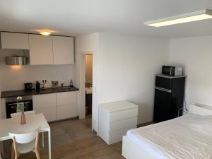 Kuchyň nebo kuchyňský kout v ubytování Frundsberg-Apartment