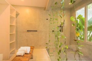 une chambre avec un banc et une plante sur le mur dans l'établissement OMA CANCUN - Holistic Healing Center, à Cancún