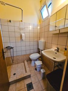 een badkamer met een toilet en een wastafel bij Studio GIANNIS in Souflíon