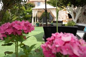 Caldelas的住宿－Casa das Caldas，一座种有粉红色花卉和凉亭的花园